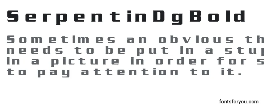 SerpentinDgBold フォントのレビュー