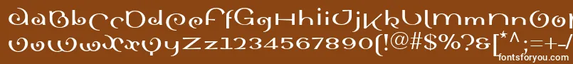 フォントSinahboldll – 茶色の背景に白い文字