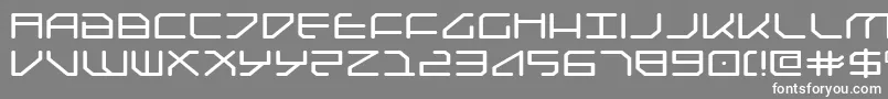 Federapolise Font – White Fonts on Gray Background