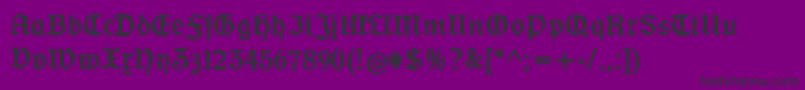 Ofenbacherschwabcat Font – Black Fonts on Purple Background