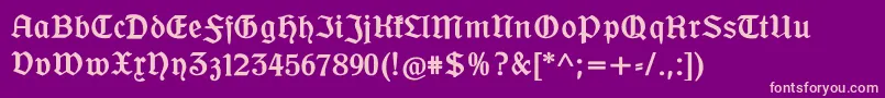 Ofenbacherschwabcat Font – Pink Fonts on Purple Background
