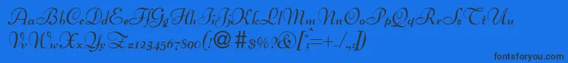 BertscriptdbBold Font – Black Fonts on Blue Background