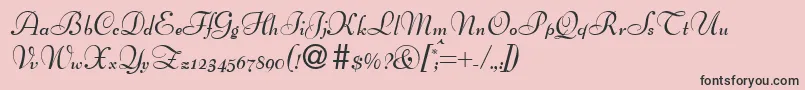 BertscriptdbBold-Schriftart – Schwarze Schriften auf rosa Hintergrund