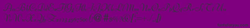 BertscriptdbBold Font – Black Fonts on Purple Background