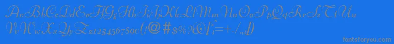Weitere Informationen zur BertscriptdbBold-Schriftart BertscriptdbBold-Schriftart – Graue Schriften auf blauem Hintergrund