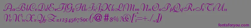 BertscriptdbBold Font – Purple Fonts on Gray Background