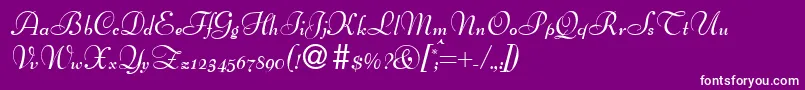 BertscriptdbBold Font – White Fonts on Purple Background