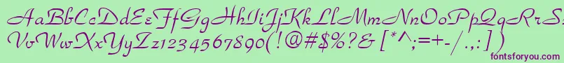 TorhokItalic Font – Purple Fonts on Green Background