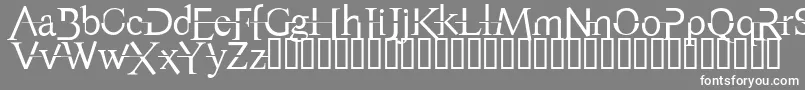 フォントAppendixNormal – 灰色の背景に白い文字