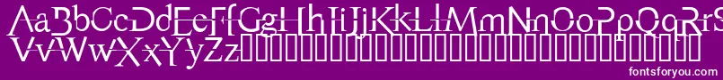 AppendixNormal Font – White Fonts on Purple Background