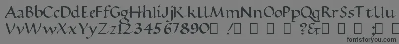 フォントRamseyFoundationalBold – 黒い文字の灰色の背景