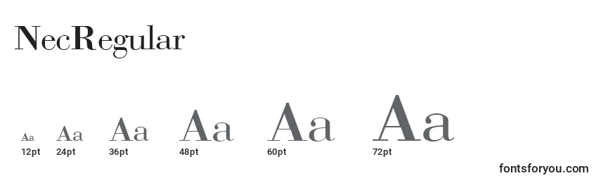 Размеры шрифта NecRegular