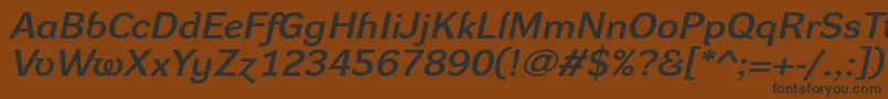 Czcionka DynagroteskdxeItalic – czarne czcionki na brązowym tle