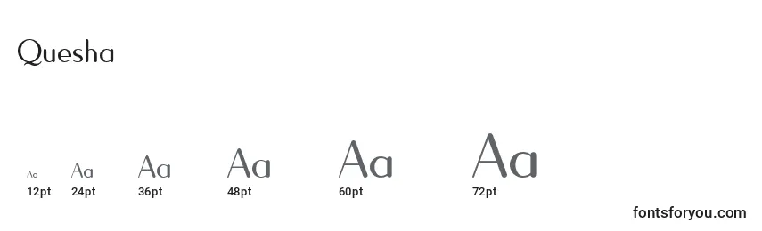 Quesha Font Sizes