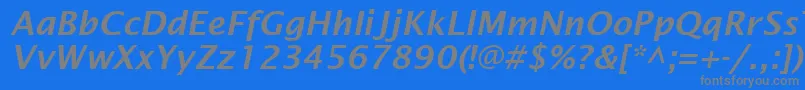 フォントLucidaSansDemiboldItalic – 青い背景に灰色の文字
