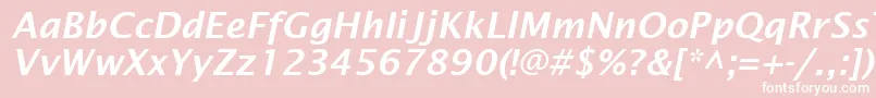 LucidaSansDemiboldItalic Font – White Fonts on Pink Background