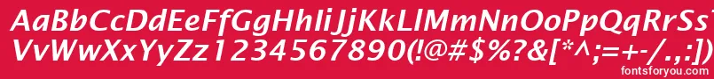 LucidaSansDemiboldItalic-Schriftart – Weiße Schriften auf rotem Hintergrund