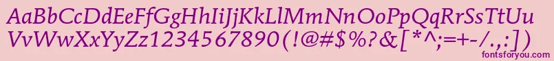 MendozaromanstdBookitalic Font – Purple Fonts on Pink Background