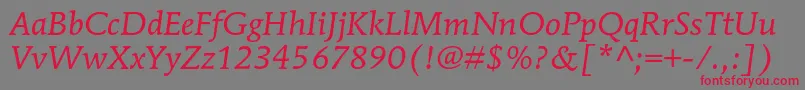 MendozaromanstdBookitalic Font – Red Fonts on Gray Background
