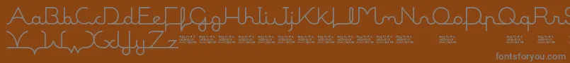 MalineBookDemo-Schriftart – Graue Schriften auf braunem Hintergrund