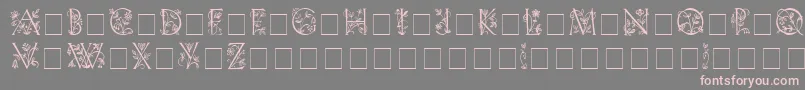 LilithInitialsMedium Font – Pink Fonts on Gray Background
