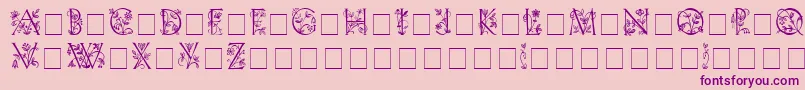 LilithInitialsMedium-Schriftart – Violette Schriften auf rosa Hintergrund