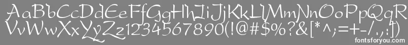 フォントDfdrone – 灰色の背景に白い文字