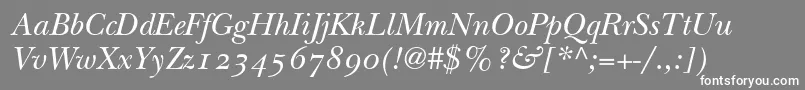 More about ItcNewBaskervilleItalicOldStyleFigures Font ItcNewBaskervilleItalicOldStyleFigures Font – White Fonts on Gray Background