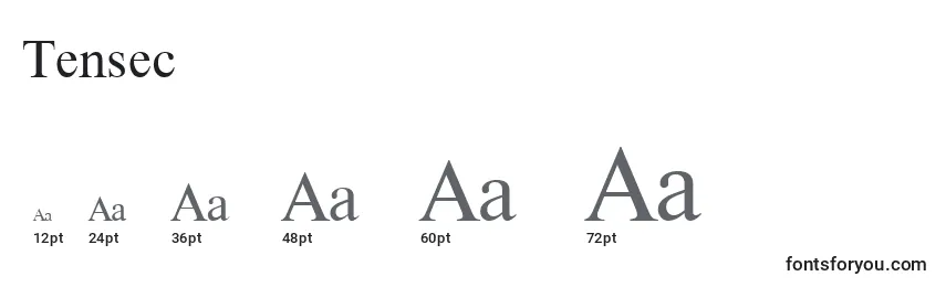 Tensec Font Sizes