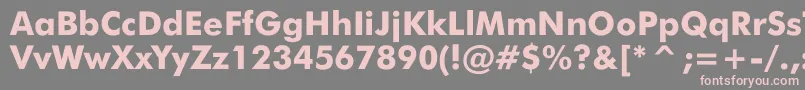 JensenBlack Font – Pink Fonts on Gray Background