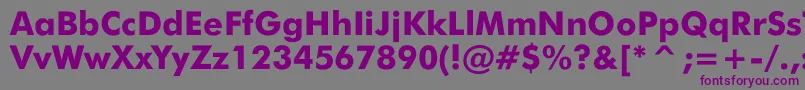 JensenBlack Font – Purple Fonts on Gray Background