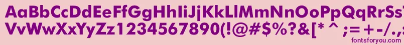 JensenBlack Font – Purple Fonts on Pink Background