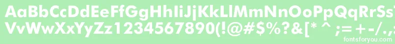 JensenBlack Font – White Fonts on Green Background