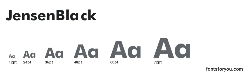 JensenBlack Font Sizes