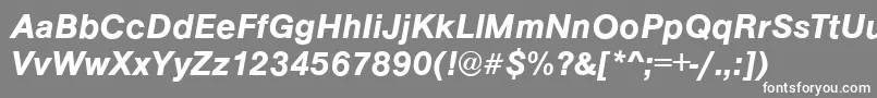 ArezzoDemiitalic Font – White Fonts on Gray Background