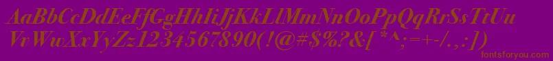 BodoniSeventytwoItcBoldItalic Font – Brown Fonts on Purple Background