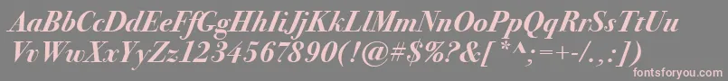 BodoniSeventytwoItcBoldItalic Font – Pink Fonts on Gray Background