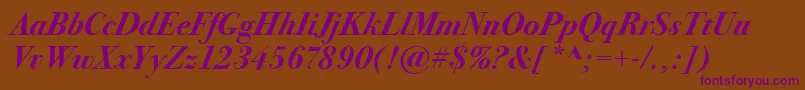 BodoniSeventytwoItcBoldItalic Font – Purple Fonts on Brown Background