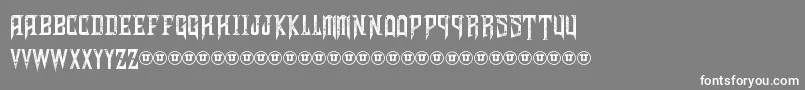 ShadowsOfSecurity Font – White Fonts on Gray Background