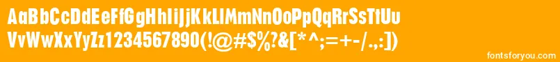 P760SansRegular Font – White Fonts on Orange Background