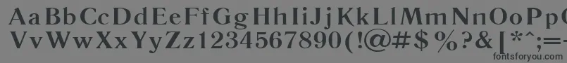 フォントLiteraturnaya115b – 黒い文字の灰色の背景