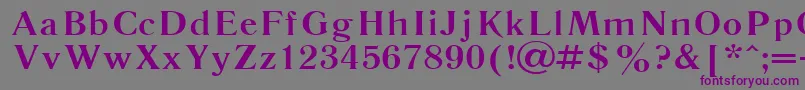 Literaturnaya115b-fontti – violetit fontit harmaalla taustalla