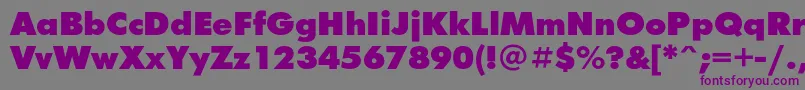 Futurafuturisblackc Font – Purple Fonts on Gray Background