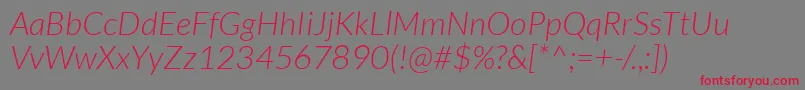 LatoLightitalic Font – Red Fonts on Gray Background