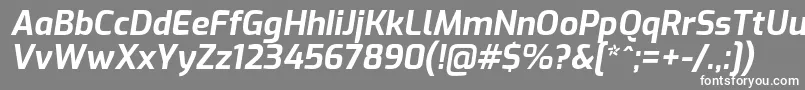 フォントExoBolditalic – 灰色の背景に白い文字