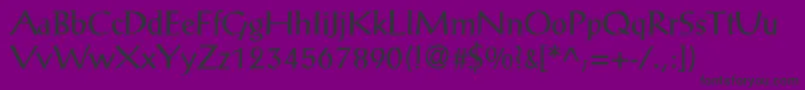 AntiquaLightSsiLight Font – Black Fonts on Purple Background