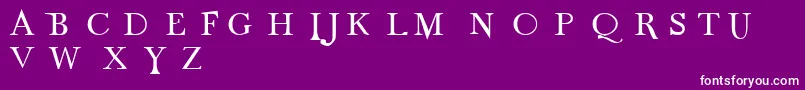 fuente Odnt – Fuentes Blancas Sobre Fondo Morado