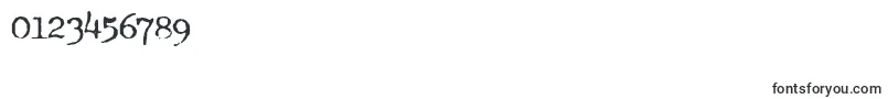 TypewriterFontRoyal200 Font – Fonts for Numbers and Digits