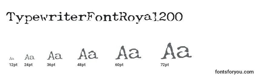Размеры шрифта TypewriterFontRoyal200