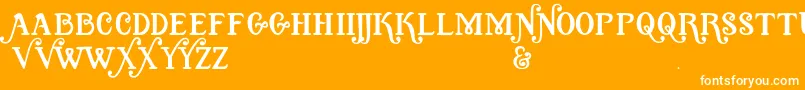 Quixotic Font – White Fonts on Orange Background